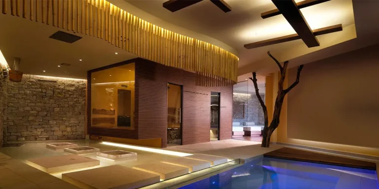 Spa Wellness Nedir?